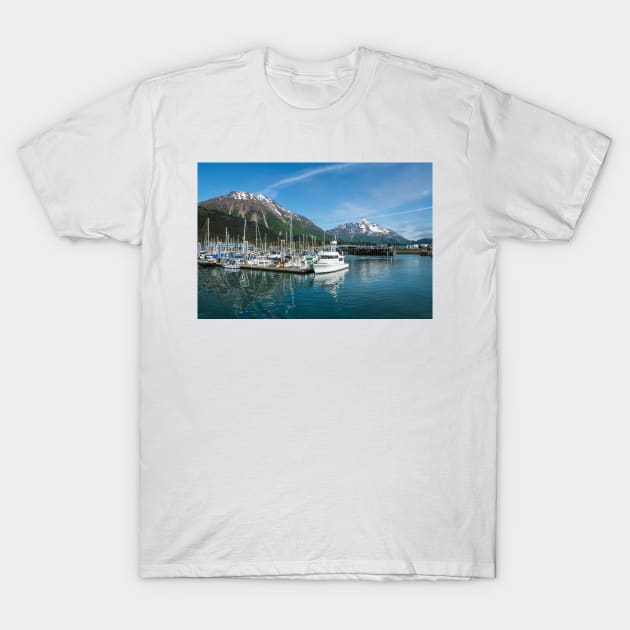 Seward Seascape T-Shirt by andykazie